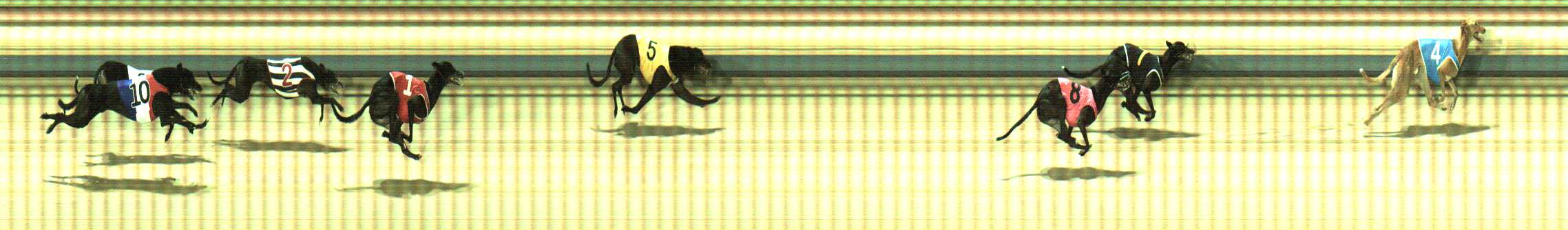 Photo finish for Sale Race 12