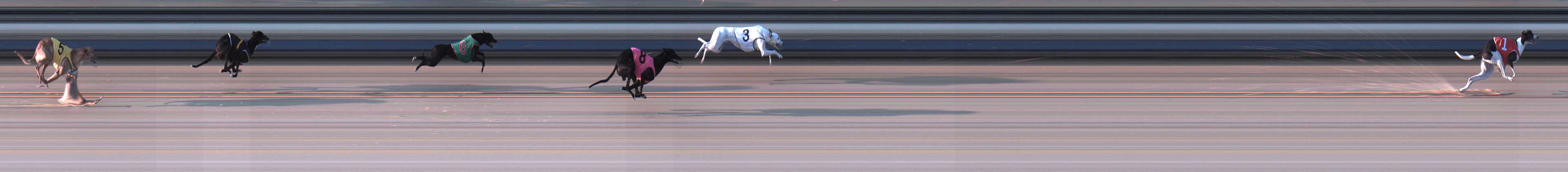 Photo finish for Sale Race 3