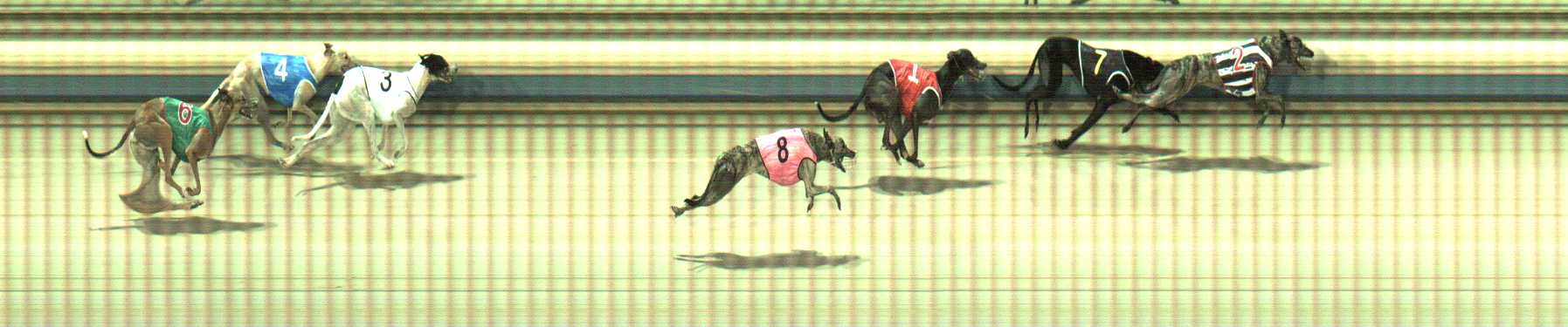 Photo finish for Sale Race 5