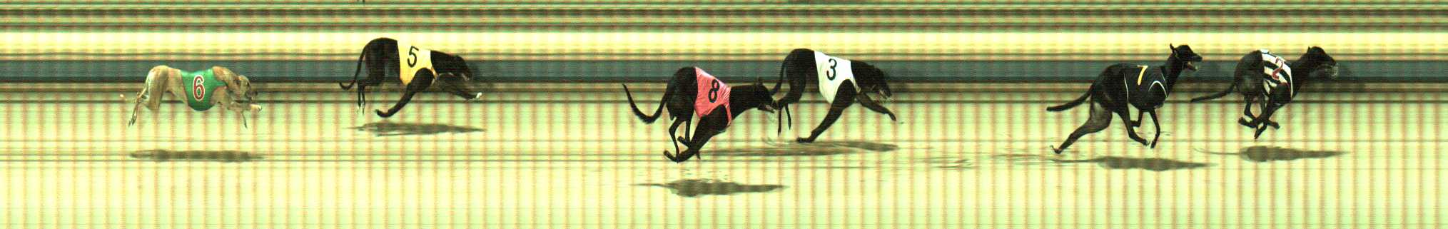 Photo finish for Sale Race 9