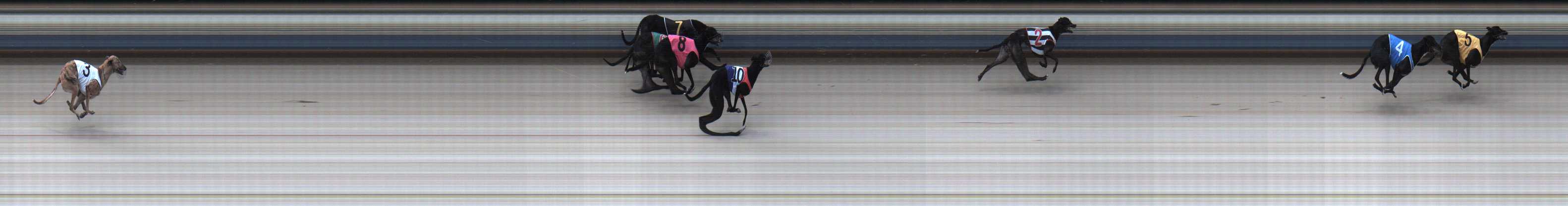 Photo finish for Sale Race 1