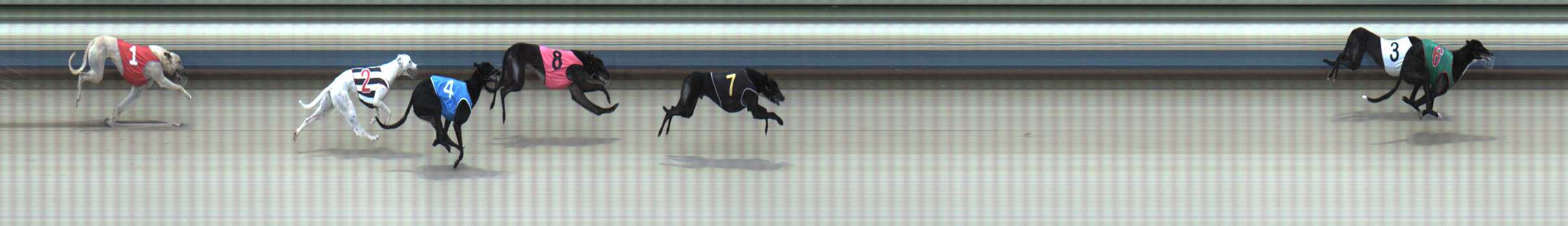 Photo finish for Sale Race 2