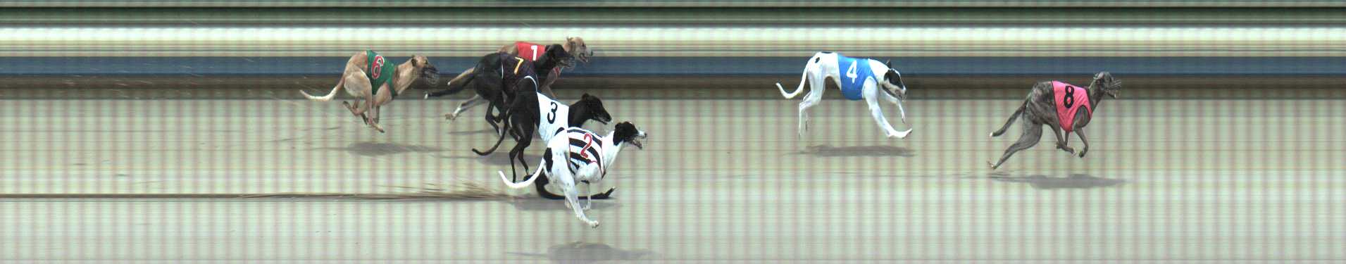 Photo finish for Sale Race 3