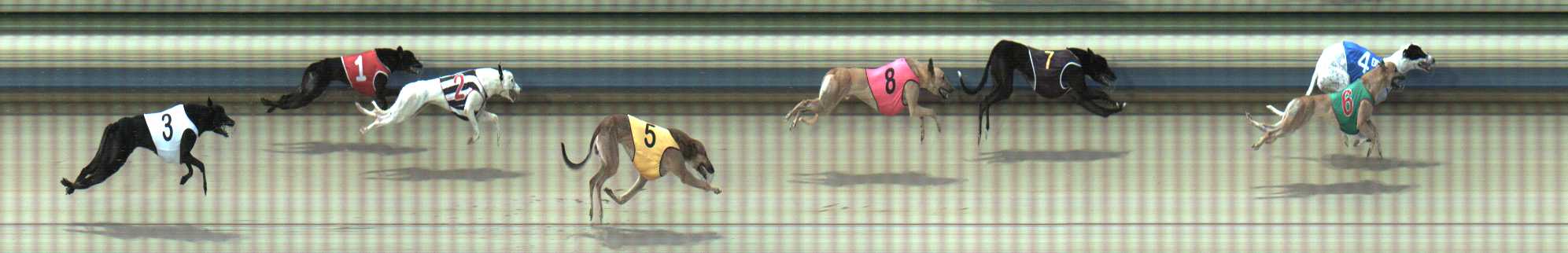Photo finish for Sale Race 4