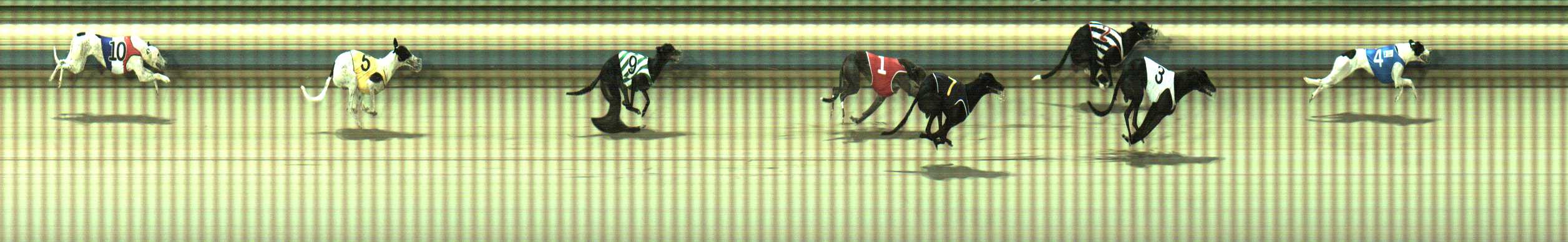 Photo finish for Sale Race 5