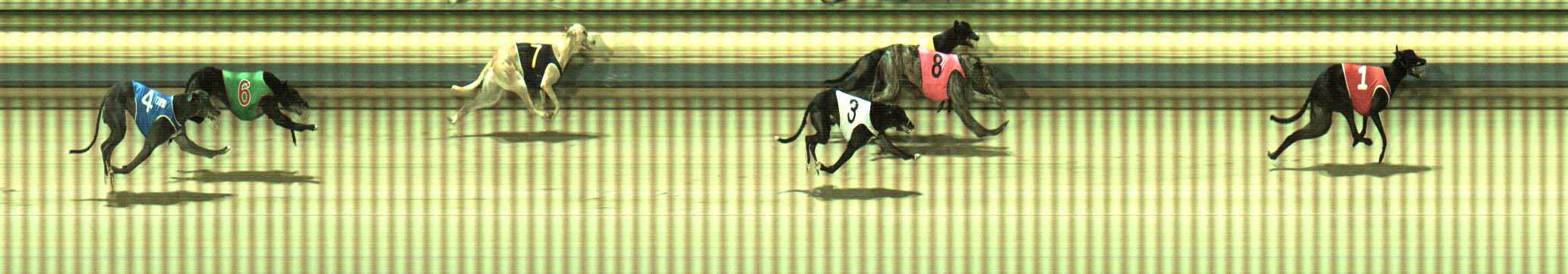 Photo finish for Sale Race 6