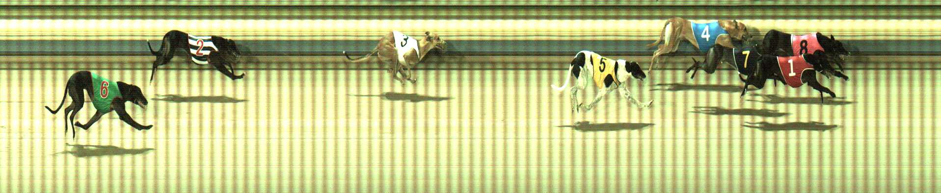 Photo finish for Sale Race 7