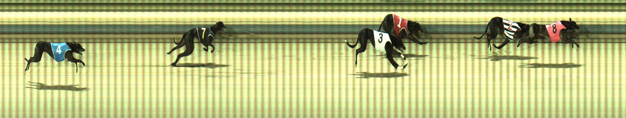 Photo finish for Sale Race 8