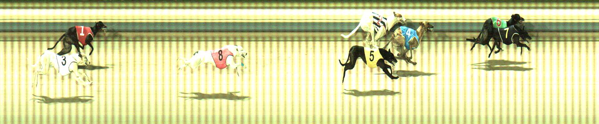 Photo finish for Sale Race 12