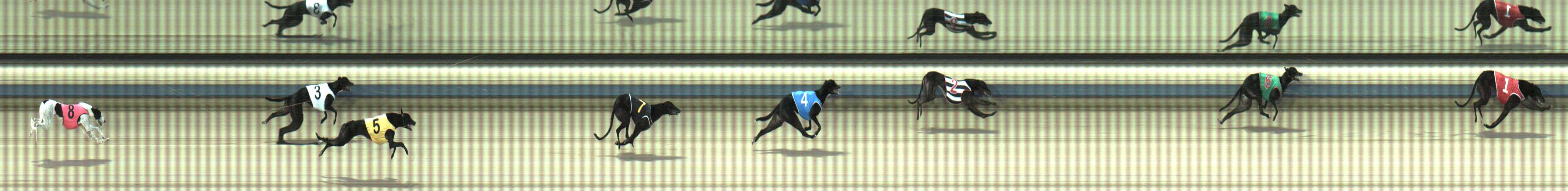 Photo finish for Sale Race 2