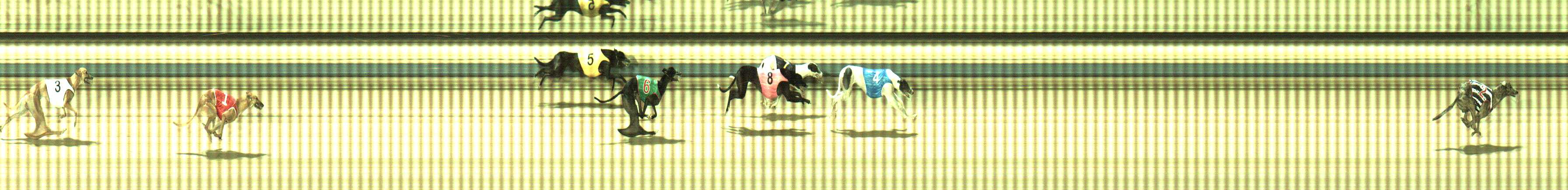 Photo finish for Sale Race 4