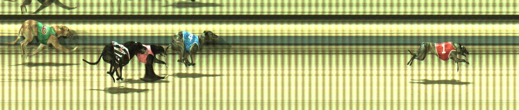 Photo finish for Sale Race 5