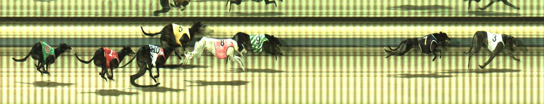 Photo finish for Sale Race 6