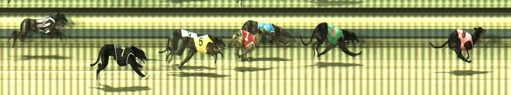 Photo finish for Sale Race 7