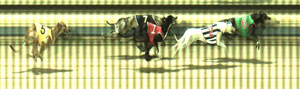 Photo finish for Sale Race 8