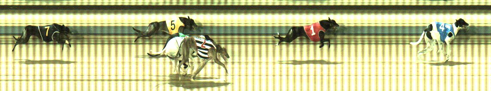 Photo finish for Sale Race 9