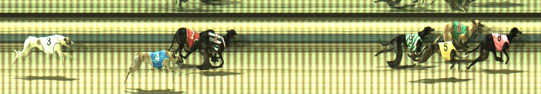 Photo finish for Sale Race 10
