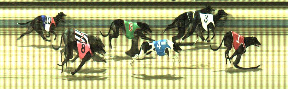 Photo finish for Sale Race 11