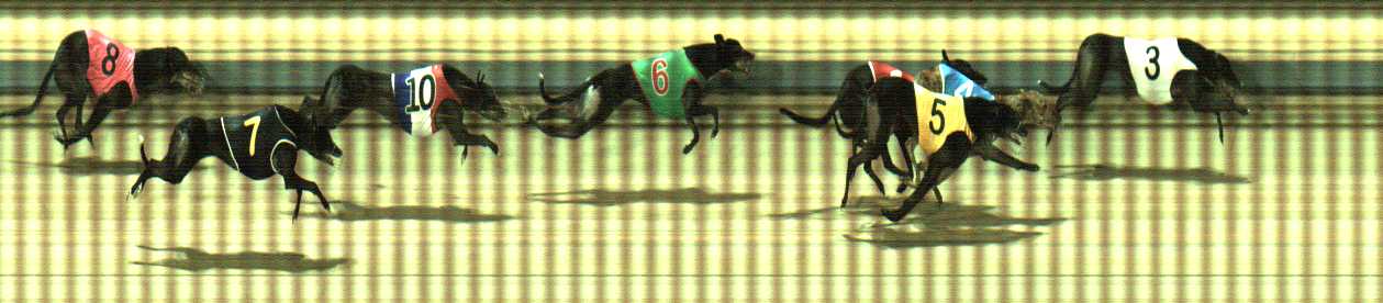 Photo finish for Sale Race 12