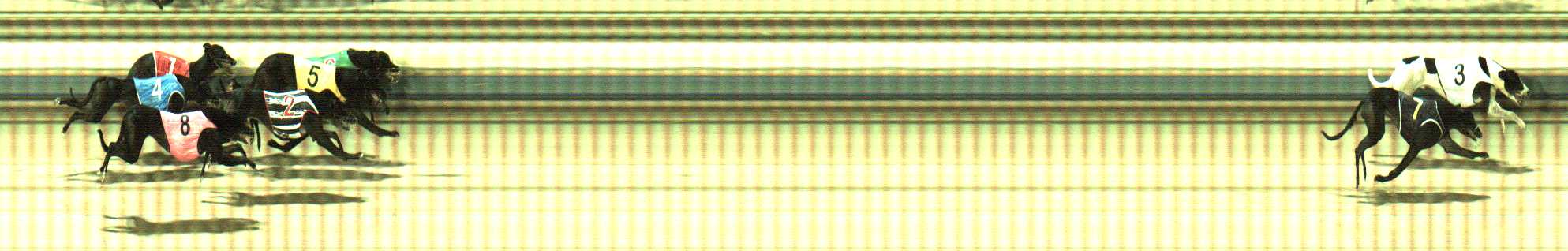 Photo finish for Sale Race 7