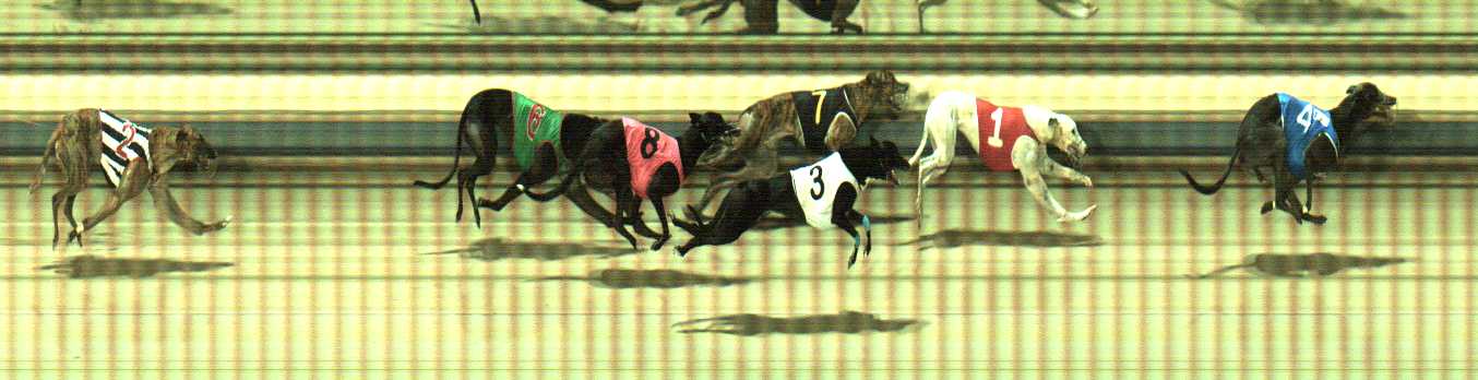 Photo finish for Sale Race 8