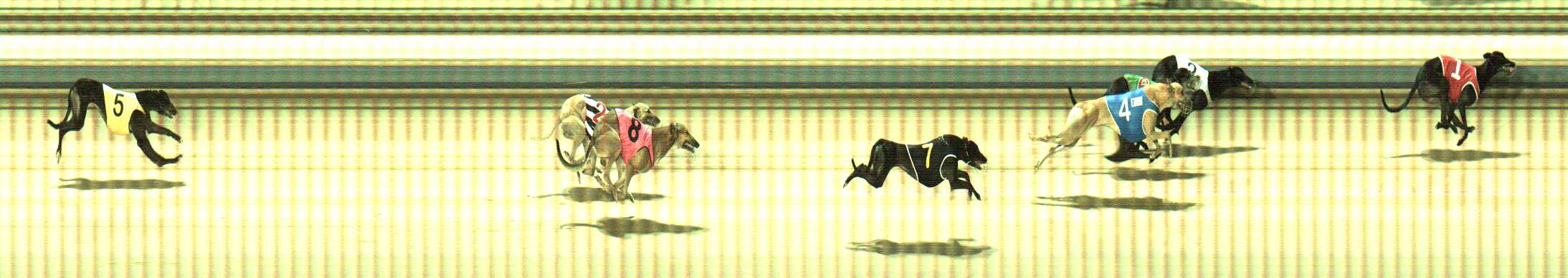 Photo finish for Sale Race 10