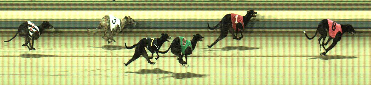 Photo finish for Sale Race 2