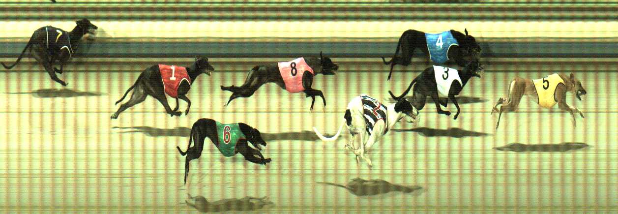 Photo finish for Sale Race 3