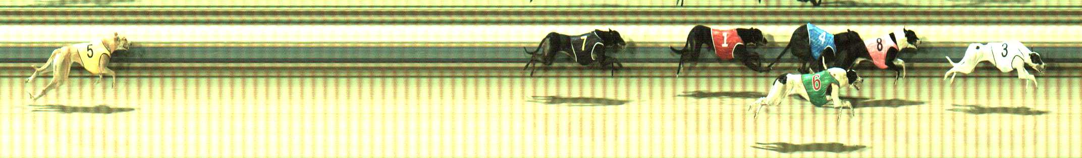 Photo finish for Sale Race 4