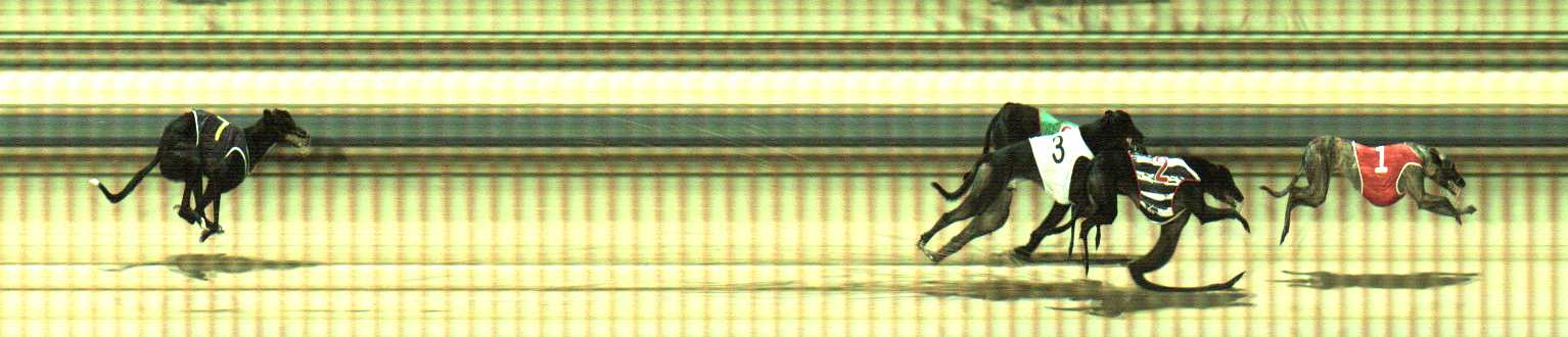 Photo finish for Sale Race 5