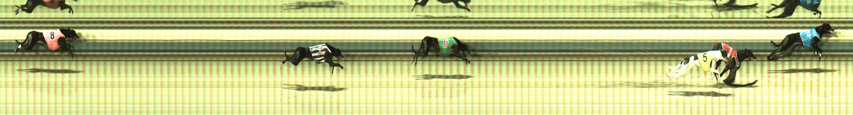 Photo finish for Sale Race 6