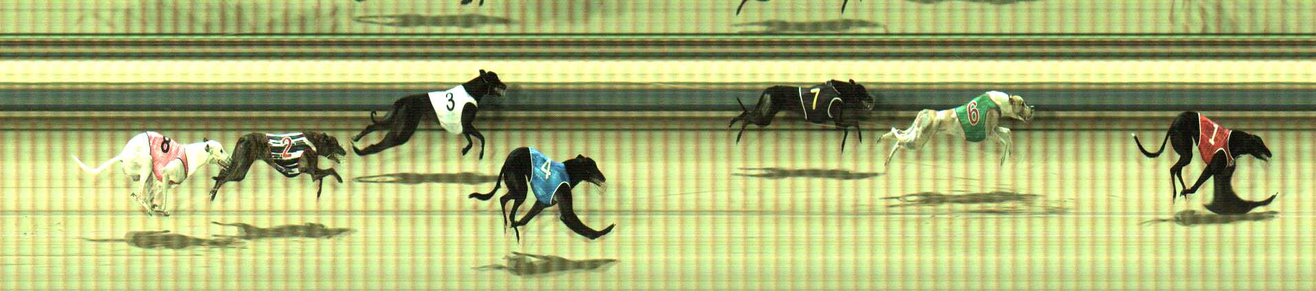Photo finish for Sale Race 1