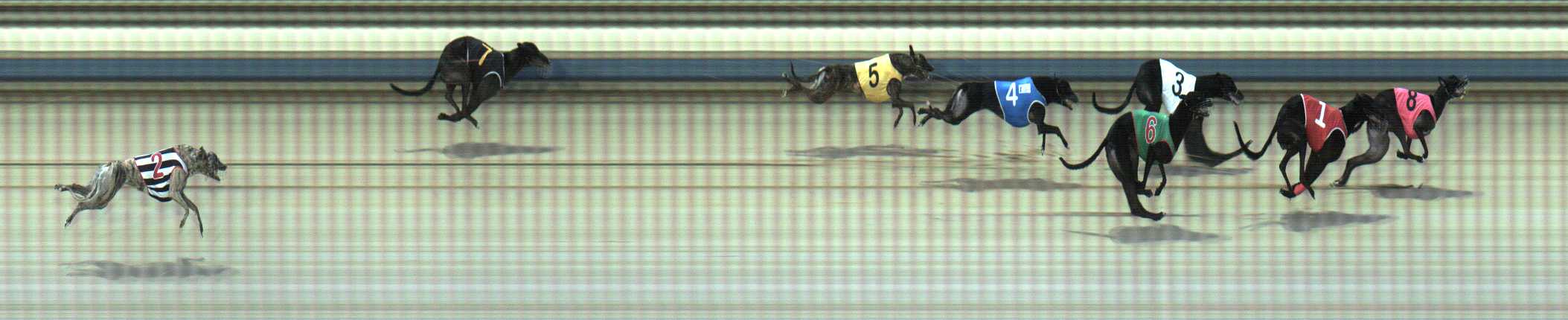 Photo finish for Sale Race 1