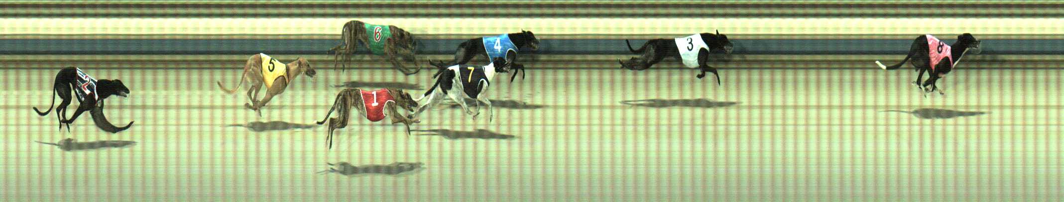 Photo finish for Sale Race 2