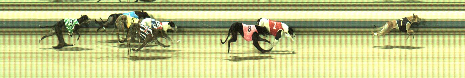 Photo finish for Sale Race 3
