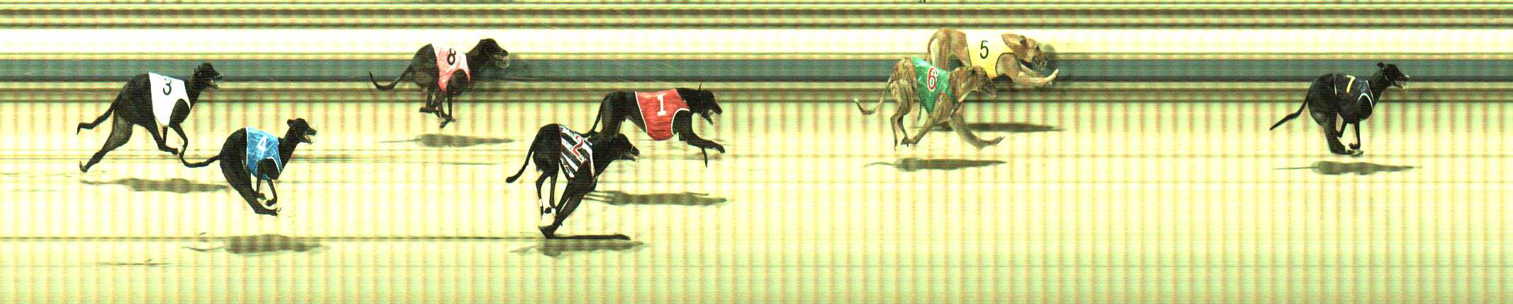 Photo finish for Sale Race 4