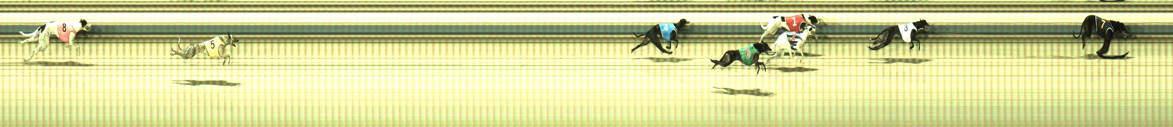 Photo finish for Sale Race 7