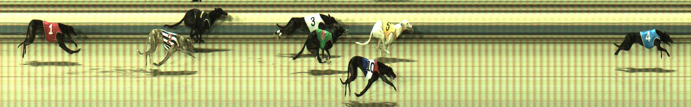 Photo finish for Sale Race 8