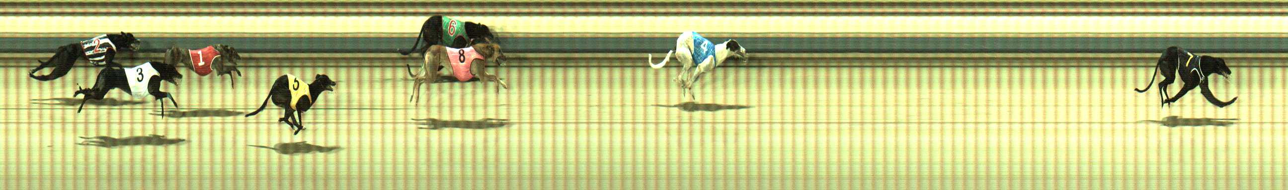 Photo finish for Sale Race 9