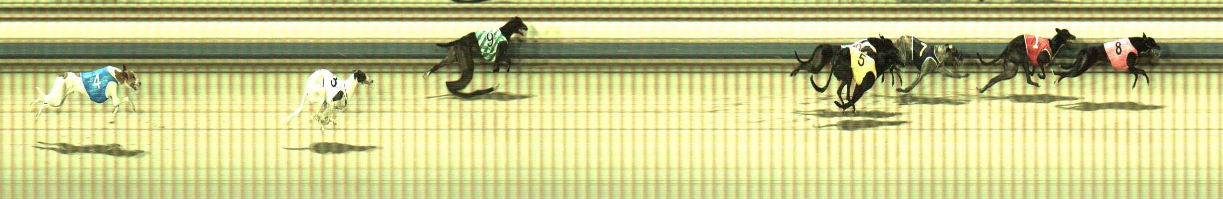 Photo finish for Sale Race 11