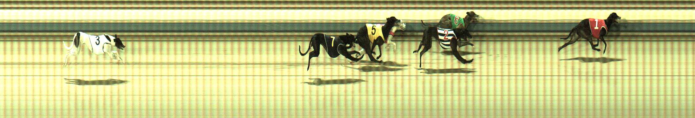 Photo finish for Sale Race 12