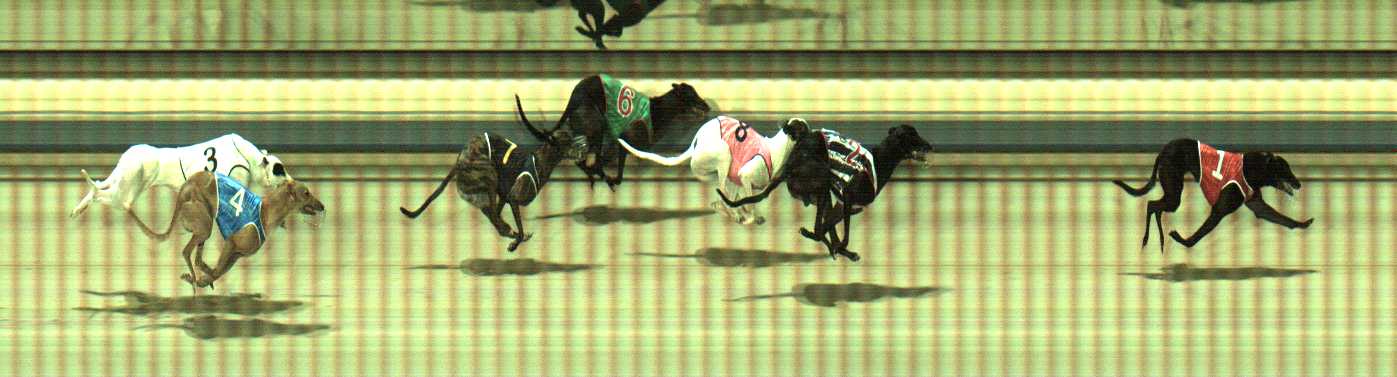 Photo finish for Sale Race 4