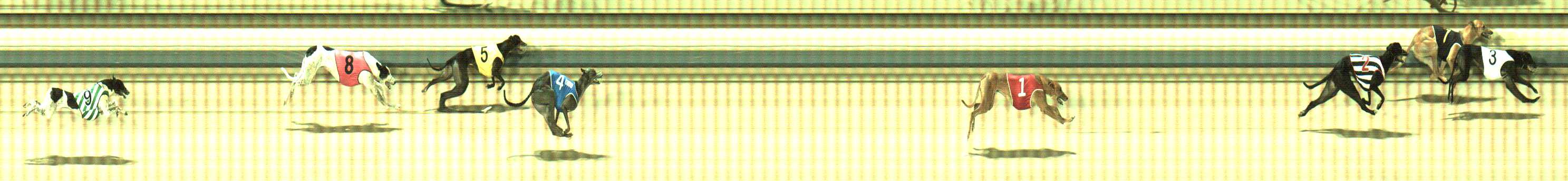 Photo finish for Sale Race 5
