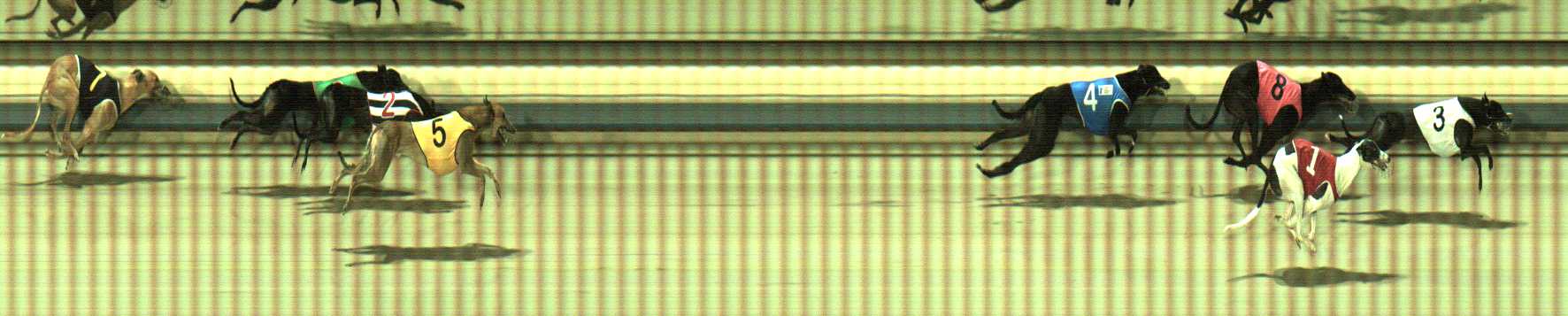 Photo finish for Sale Race 6