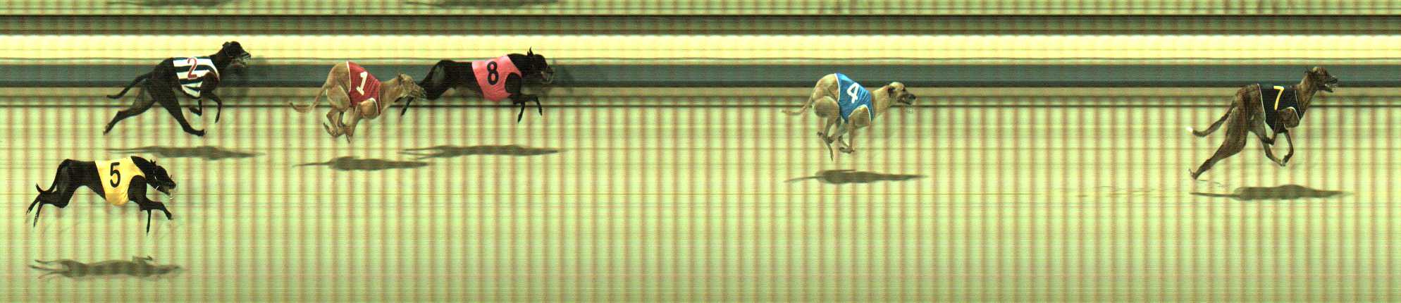 Photo finish for Sale Race 7