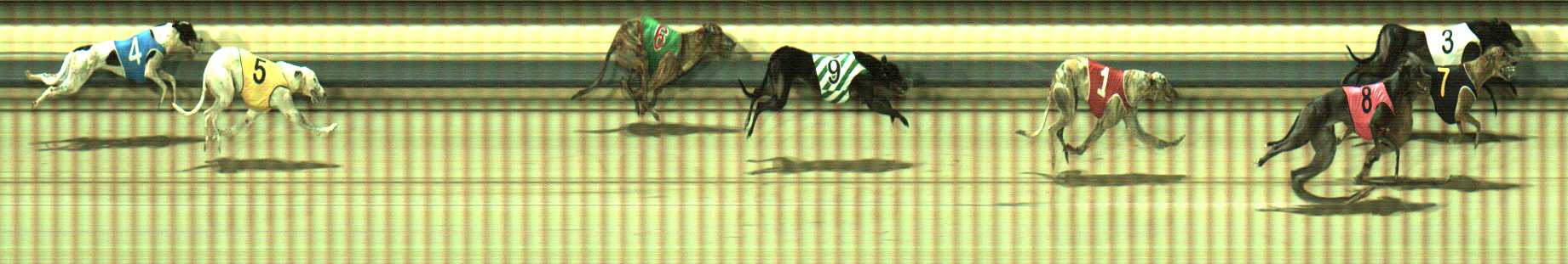 Photo finish for Sale Race 8