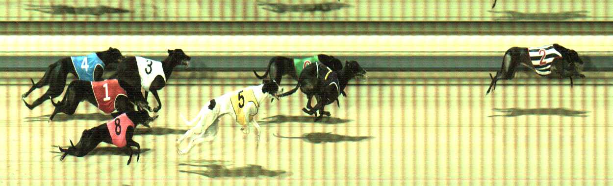 Photo finish for Sale Race 9