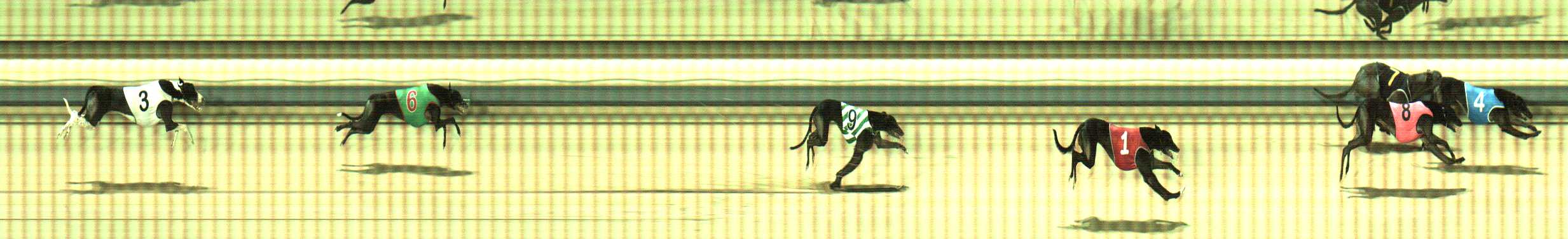 Photo finish for Sale Race 10