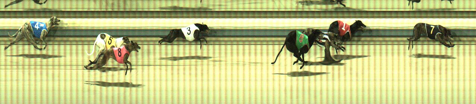 Photo finish for Sale Race 12
