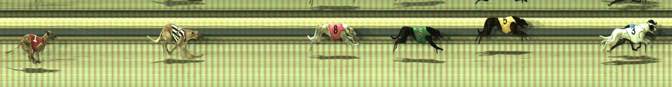 Photo finish for Sale Race 1